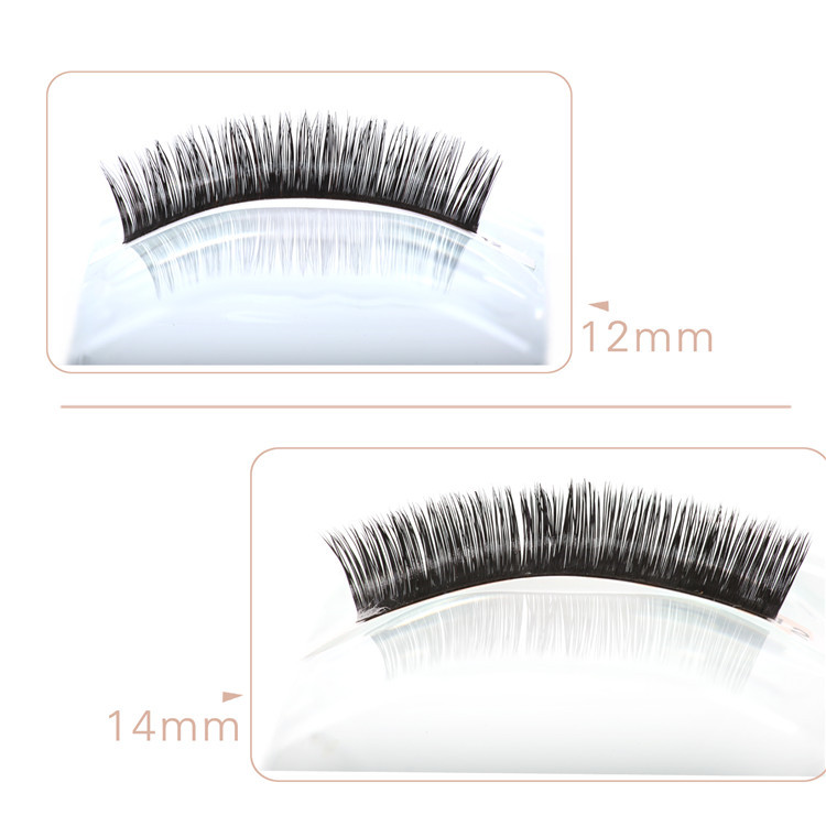 lashes extensions02.jpg